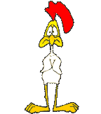 Dancing Bird